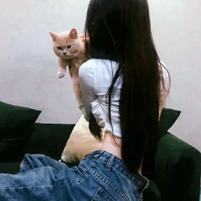 摄影机不要停！